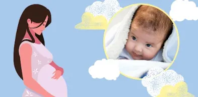 Pregnancy Week by Week APK screenshot