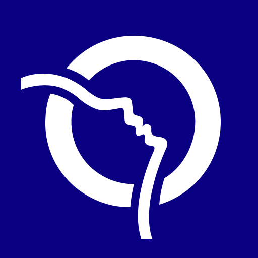 Bonjour RATP APK apk