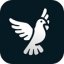ByeDPI APK apk