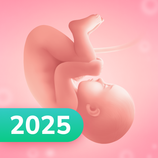 Pregnancy and Due Date Tracker APK apk