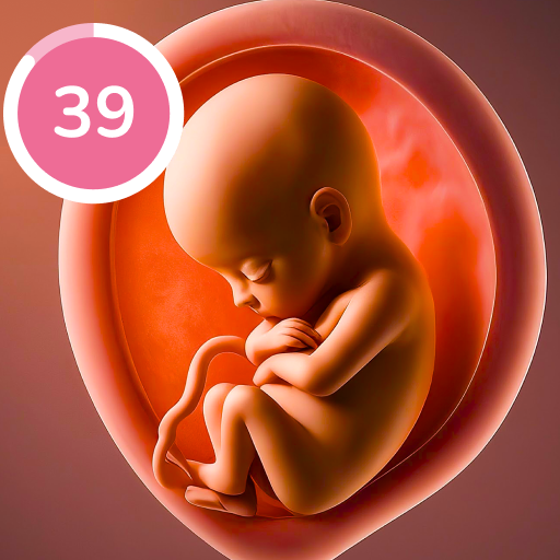 Pregnancy Tracker and Baby App APK apk