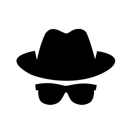 Private Browser APK apk icon