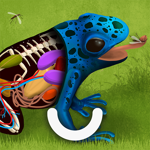 The Animals: Animal Kids Games APK apk