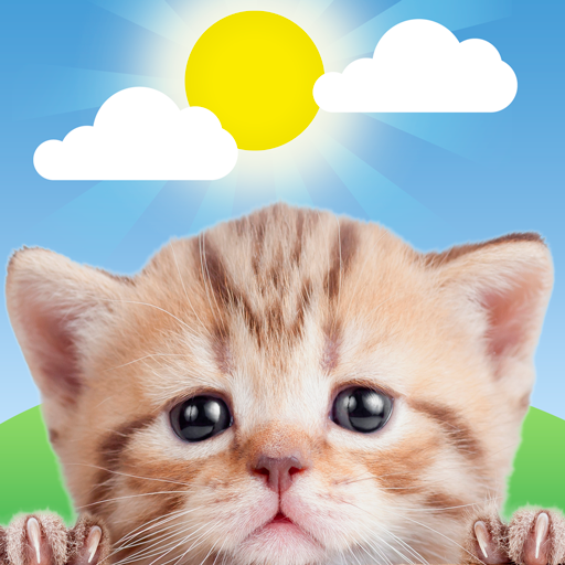 Weather Kitty - App & Widget APK apk