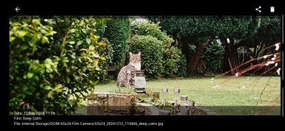 65x24 Film Camera APK screenshot