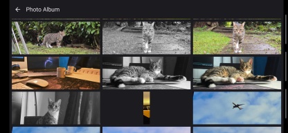 65x24 Film Camera APK screenshot
