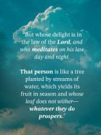 Abide: Bible Meditation Prayer APK screenshot