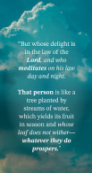 Abide: Bible Meditation Prayer APK screenshot
