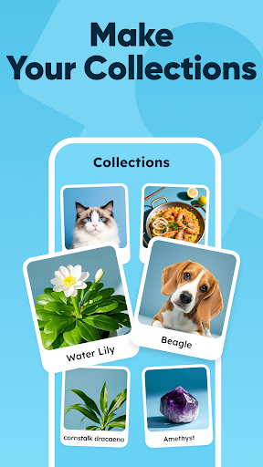 All Scanner: Scan & Identify APK 8