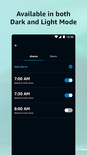 Amazon Alexa 8