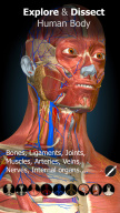 Anatomy Learning - 3D Anatomy APK screenshot
