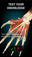 Anatomy Learning - 3D Anatomy APK screenshot