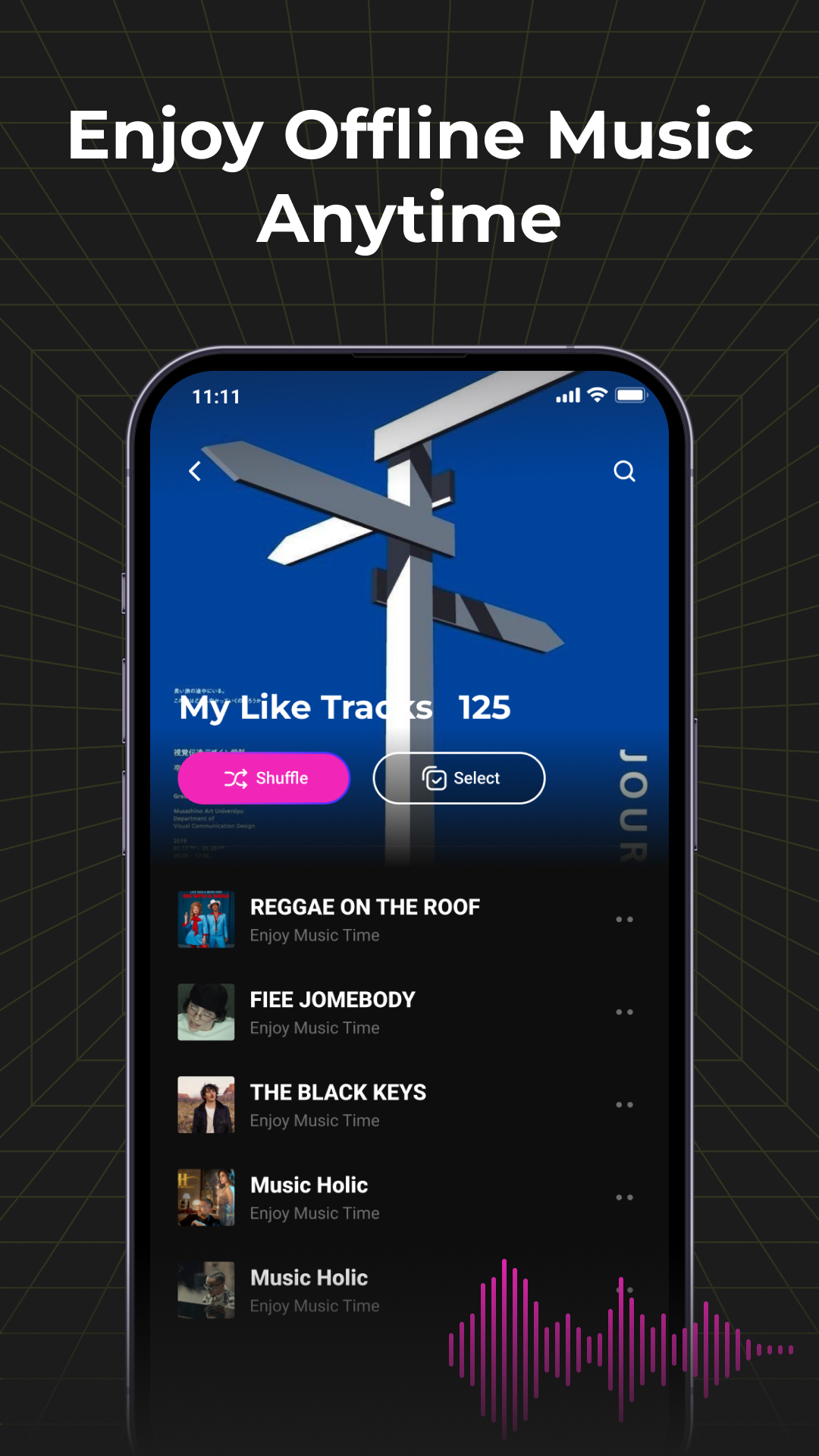Audio Insight - Offline Music APK screenshot