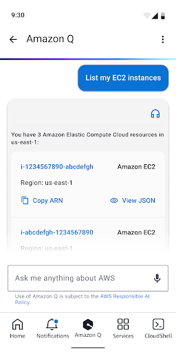 AWS Console 8