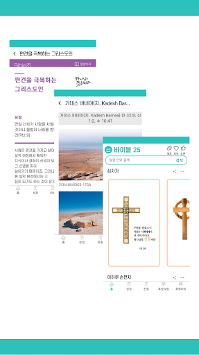 Bible 25 APK 8