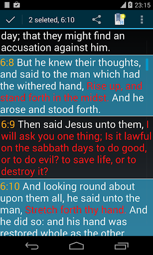 Bible KJV APK screenshot