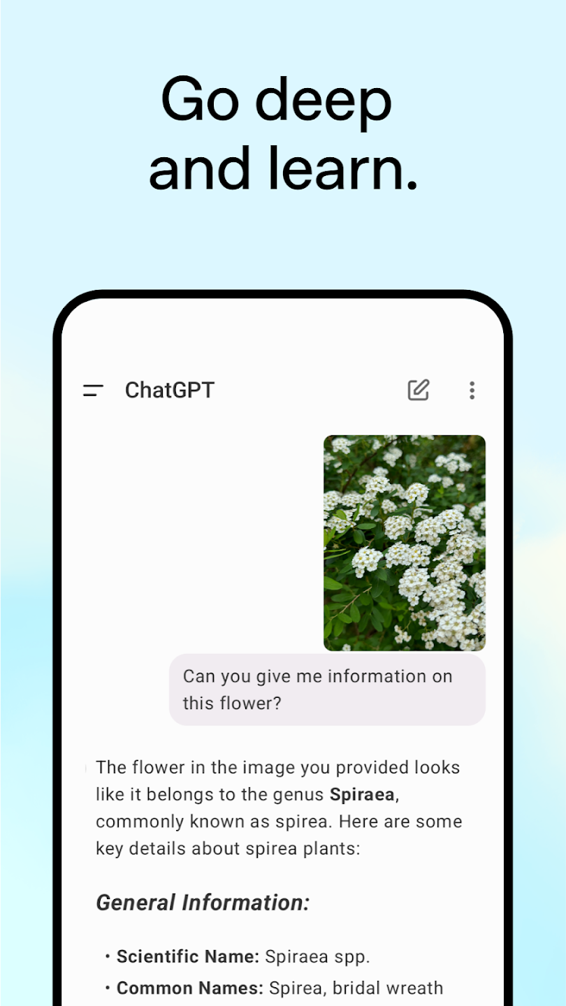 ChatGPT 4