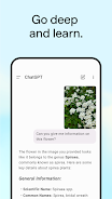 ChatGPT APK 5