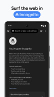 Chrome Canary (Нестабильная) APK screenshot