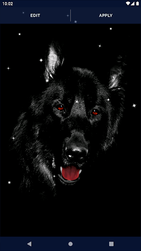 DarkMode AMOLED Live Wallpaper APK screenshot