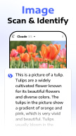 Deep Think - AI Seek Chatbot APK screenshot