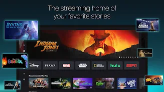 Disney Plus 11