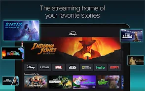Disney Plus 8