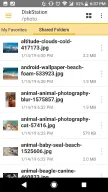 DS file APK screenshot