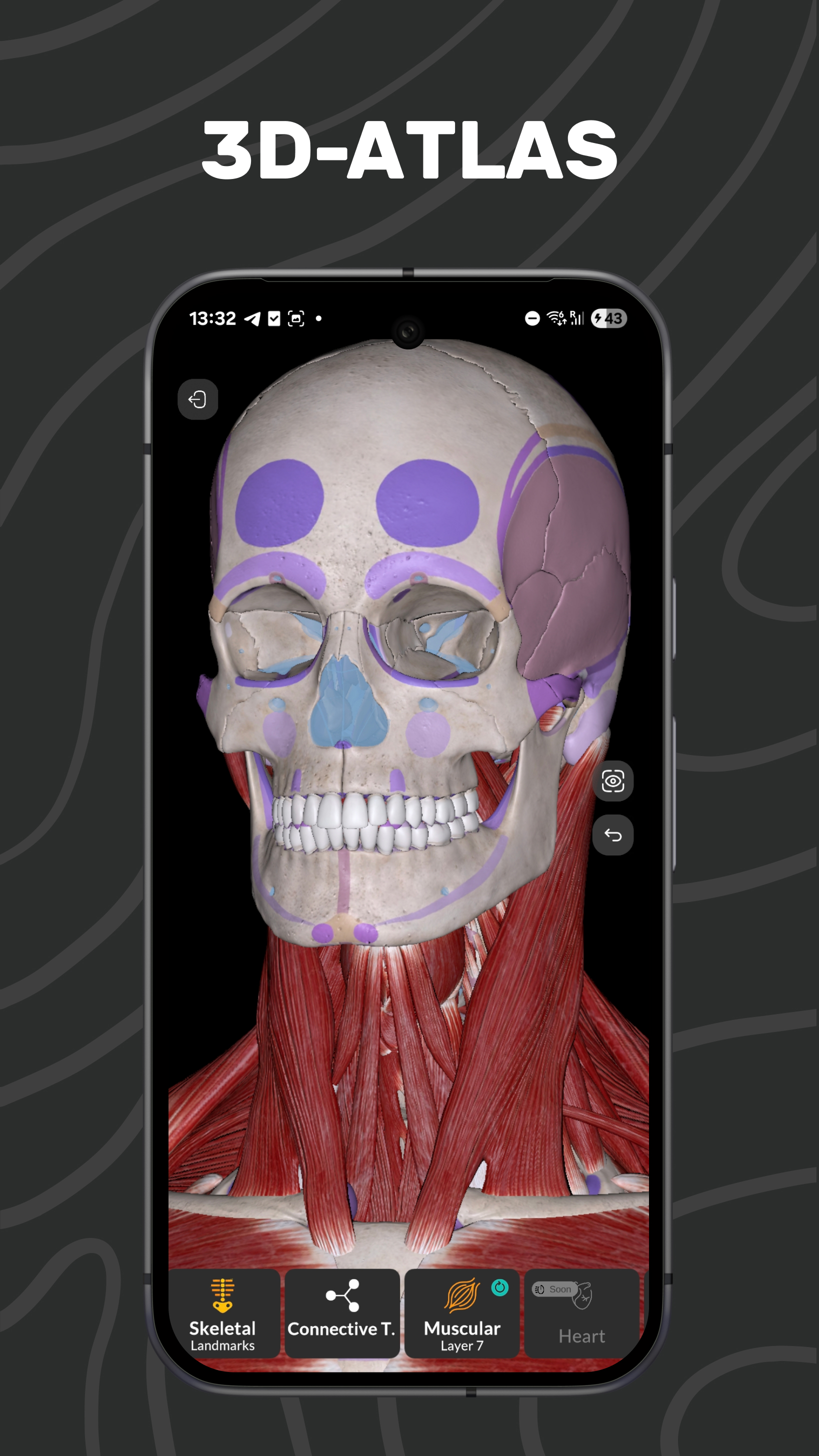 Easy Anatomy 3D APK screenshot
