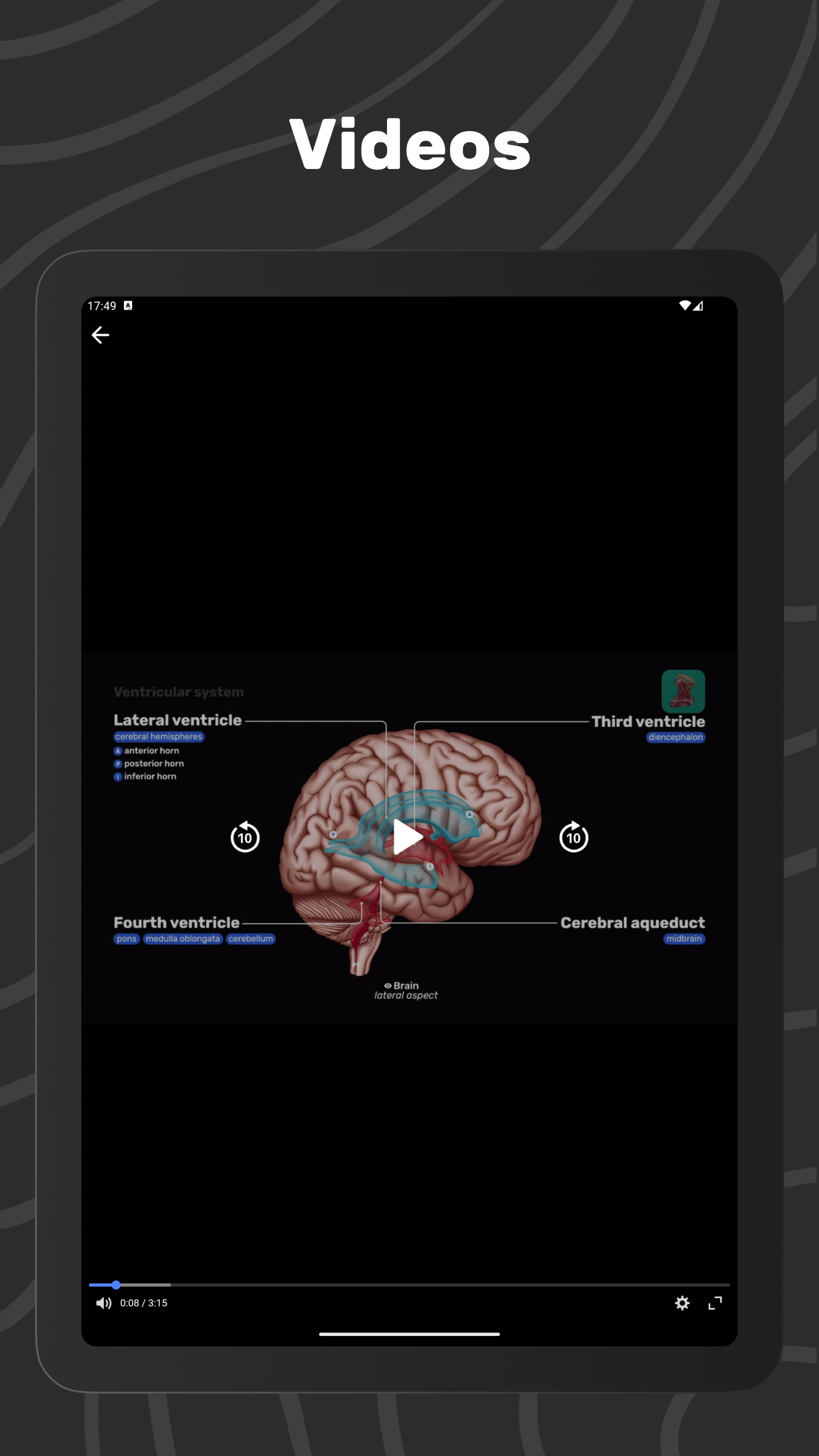 Easy Anatomy 3D APK screenshot