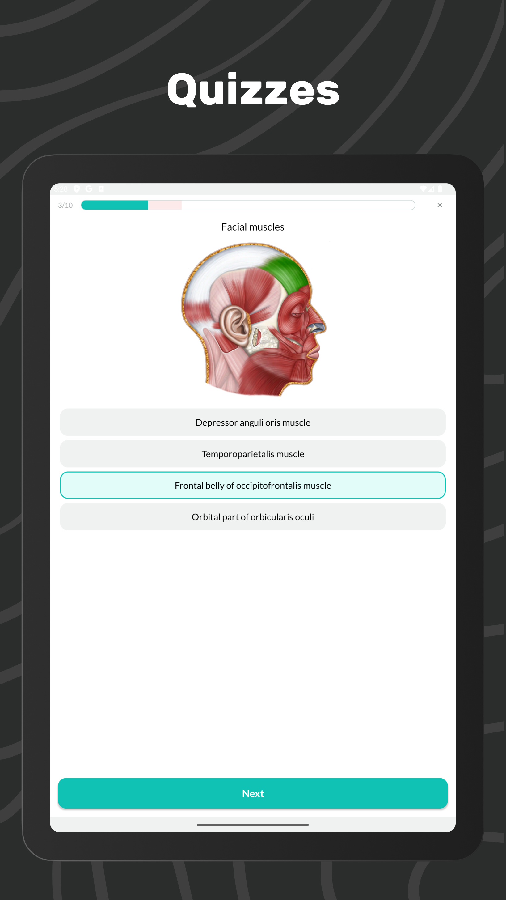 Easy Anatomy 3D APK screenshot