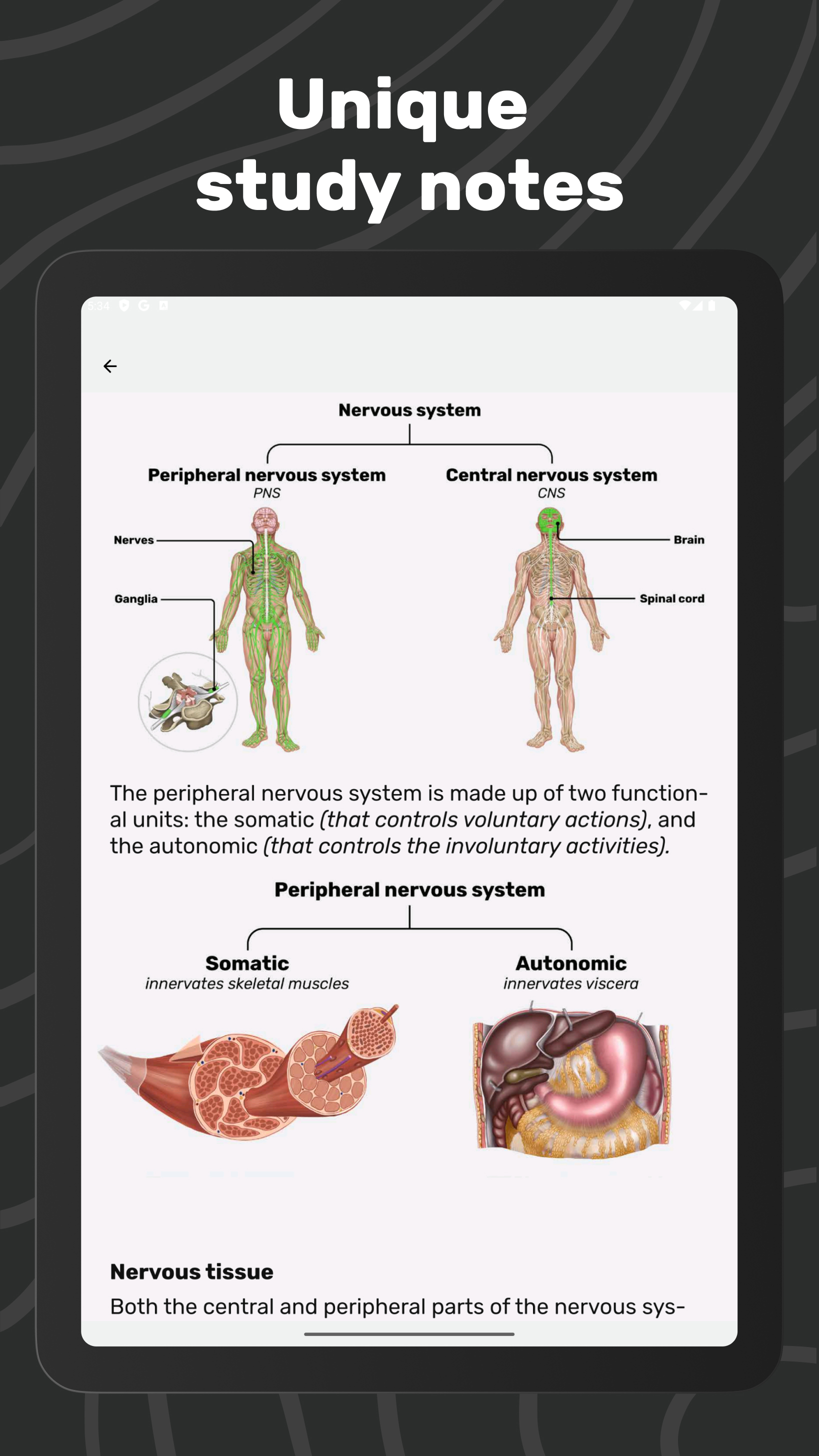 Easy Anatomy 3D APK screenshot