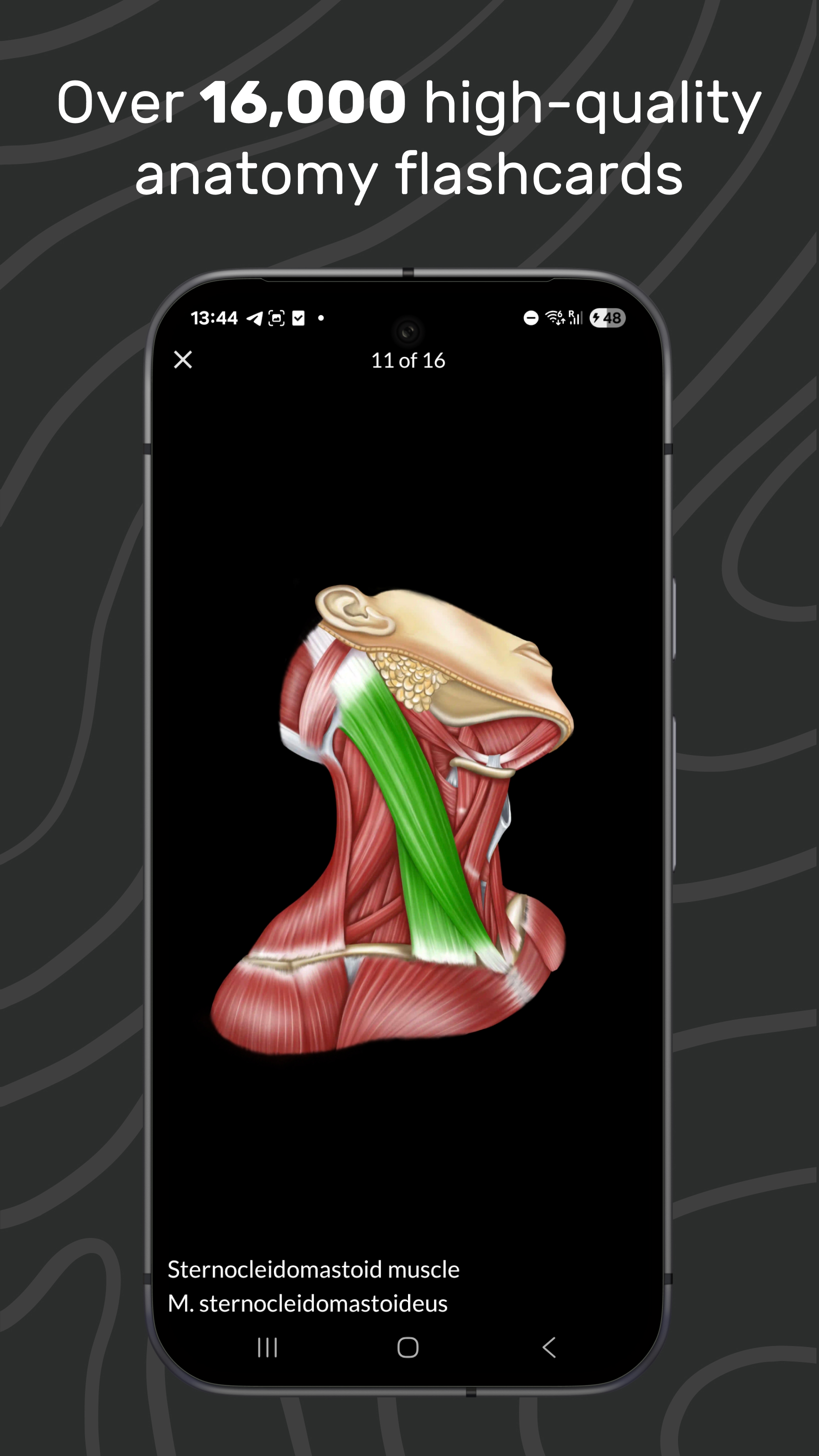 Easy Anatomy 3D APK screenshot