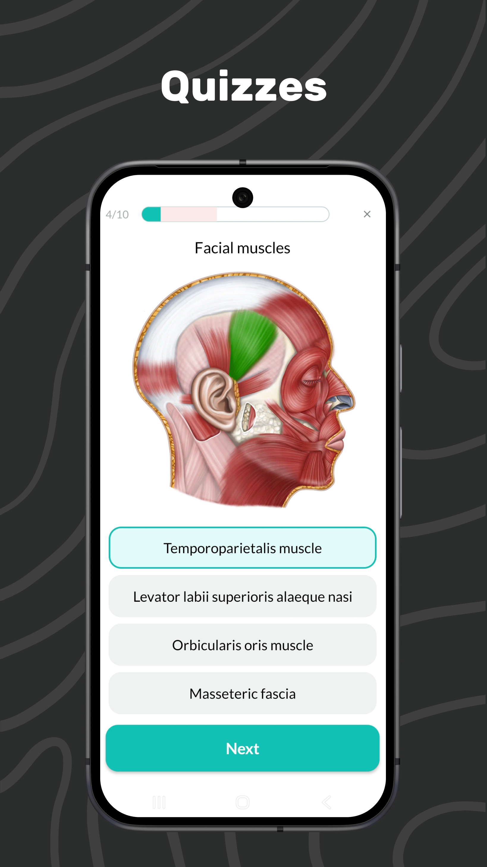 Easy Anatomy 3D APK screenshot