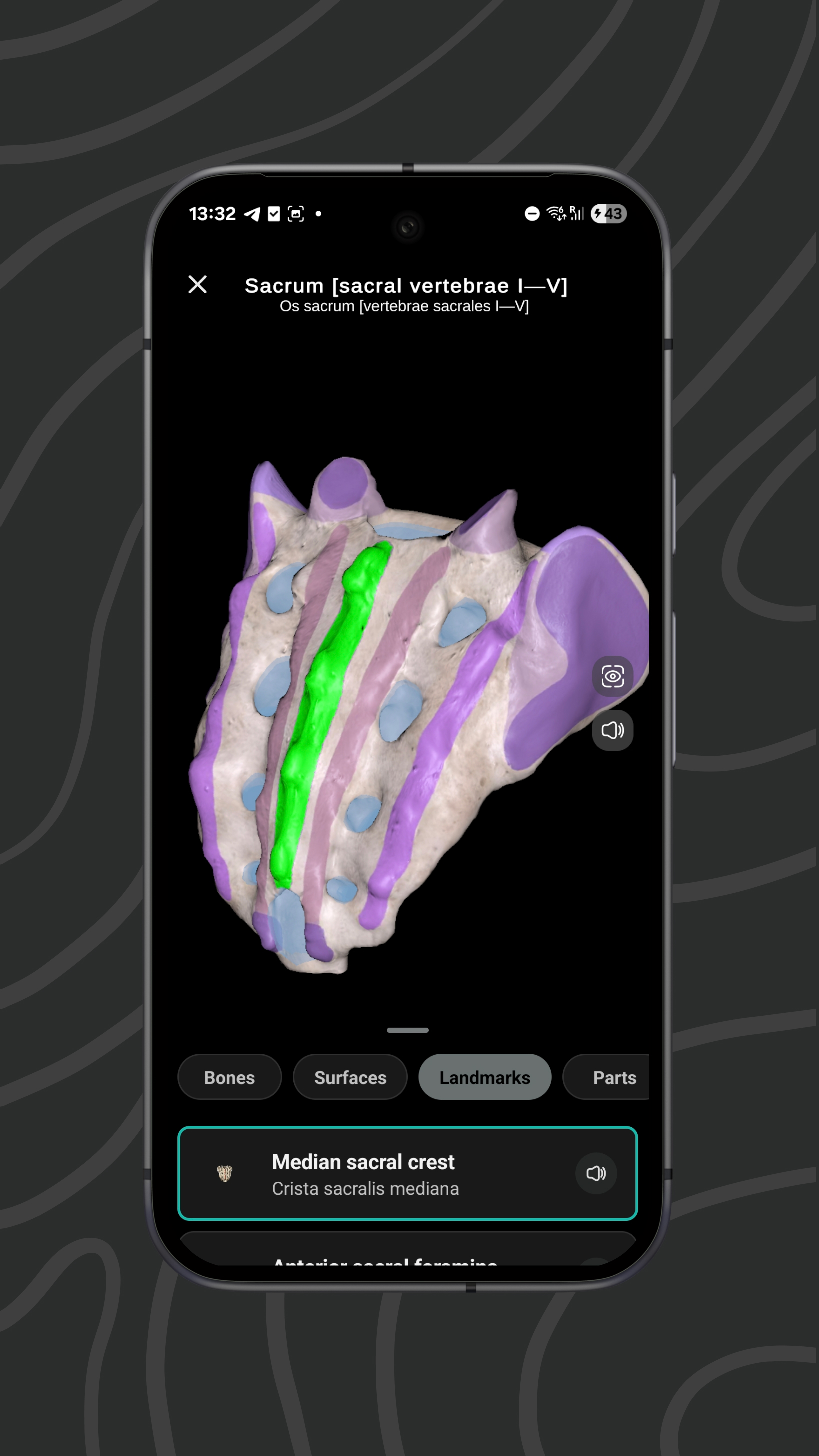 Easy Anatomy 3D APK screenshot
