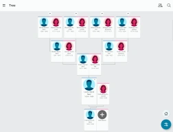 FamilySearch Tree APK screenshot