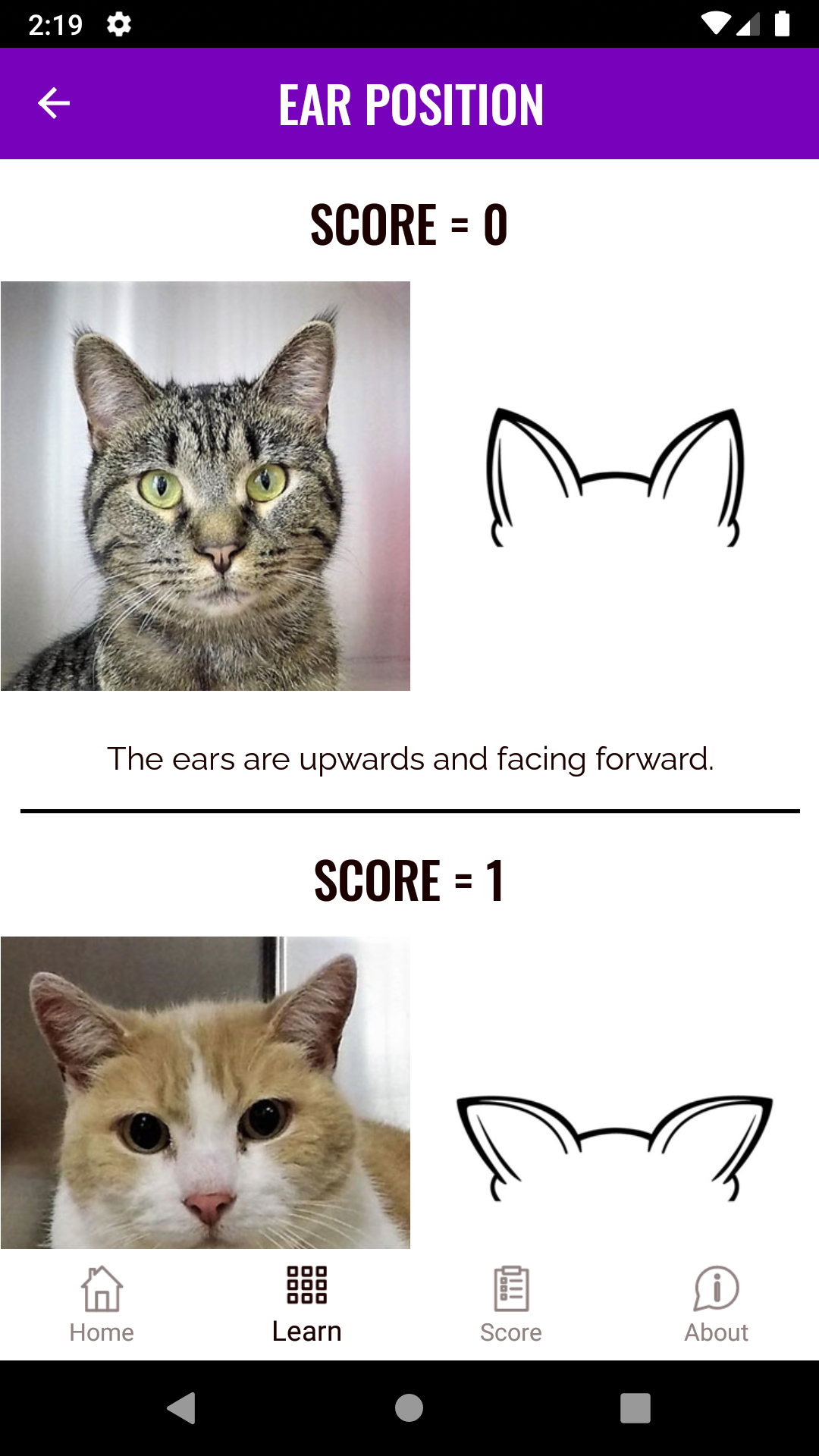 Feline Grimace Scale APK screenshot