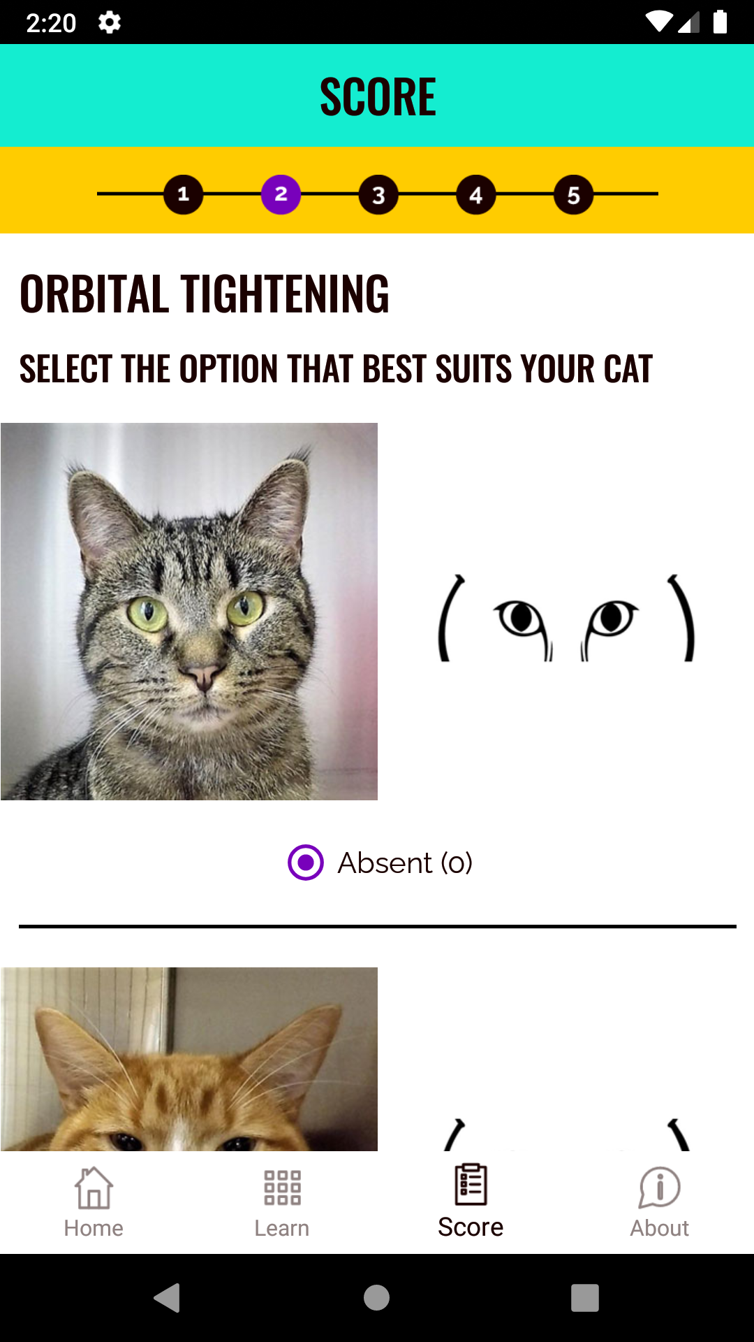 Feline Grimace Scale APK screenshot