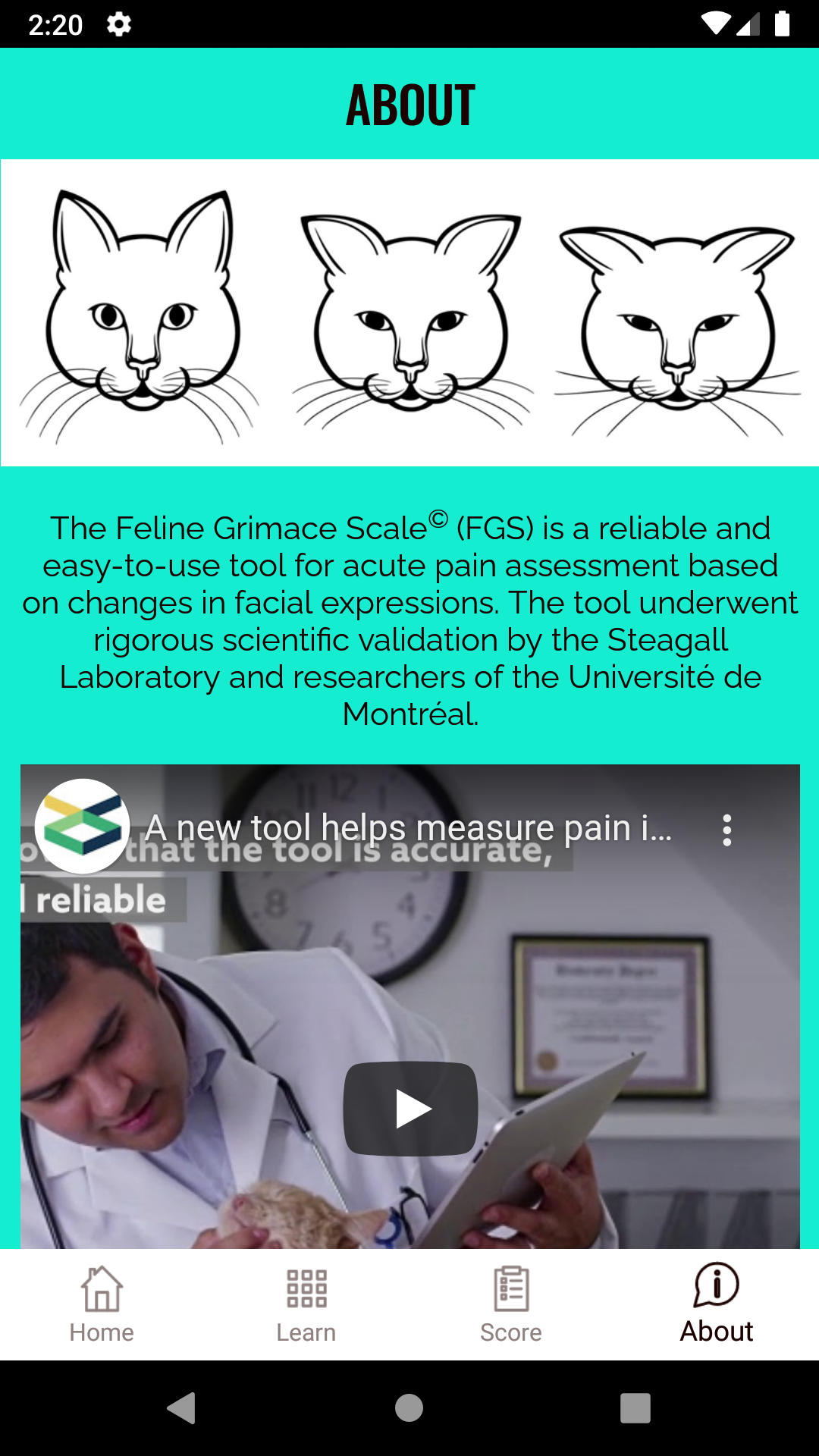 Feline Grimace Scale APK screenshot