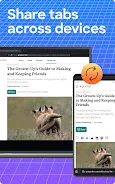 Firefox 12