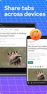 Firefox 4