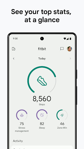 Fitbit 1