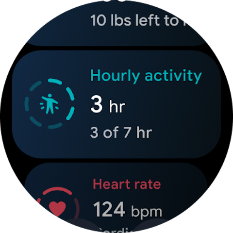 Fitbit 11
