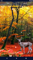 Forest Live Wallpaper APK screenshot