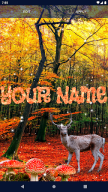 Forest Live Wallpaper APK screenshot