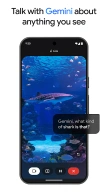 Gemini APK screenshot