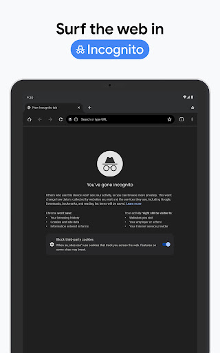 Chrome APK 22