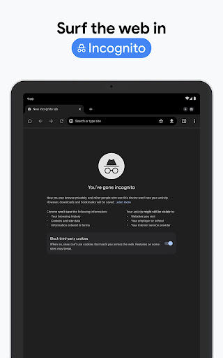 Chrome APK 29