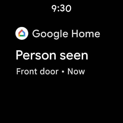 Google Home 13