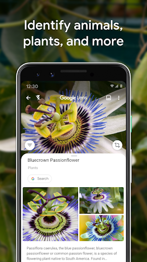 Google Lens 4